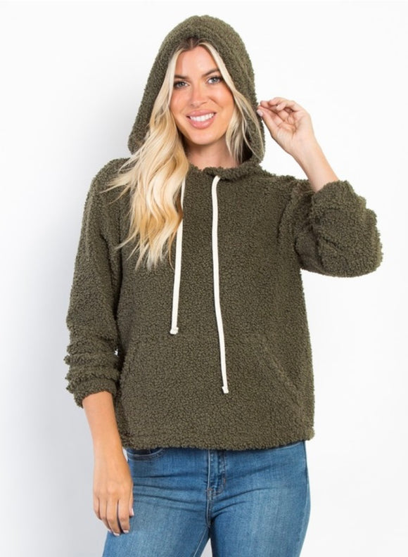 Snow Covered Sherpa Hoodie