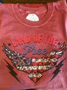 Land of The Free tee