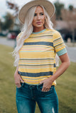 Multicolored Striped Round Neck Tee Shirt